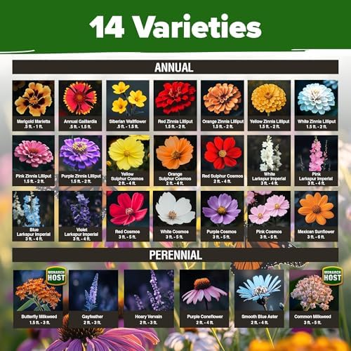 HOME GROWN Monarch Butterfly Wildflower Mix Seeds, 20,000+ Seeds, 2 oz - Image 2