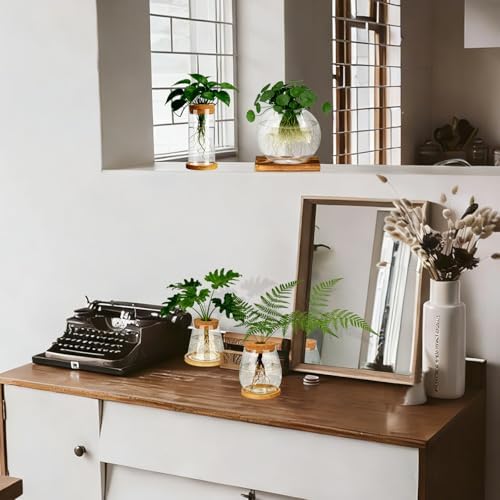 6 Pcs Plants Propagation Stations Glass Planter Terrariums with Wooden Lid and Bamboo Stand Desktop Propagation Vases Jars for Plant Growing Hydroponic Home Office Tabletop Garden Decoration - Image 4