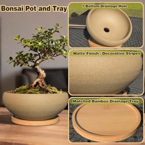 MUZHI 2 Pack 8+6 Inch Plant Pot - Natural Unglazed Ceramic Bonsai Pot with Bamboo Saucer, Large Vintage Clay Shallow Planter Pot with Drainage Hole - Image 3