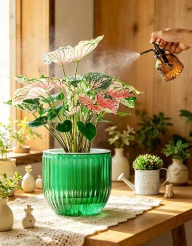 Melphoe Self Watering Pots for Indoor Plants Planter, 8.3 Inch 2 Pack Planters Self Watering Plant Pots for Flower, Houseplants, Succulent, African Violets and Cactus with Drainage - Image 3