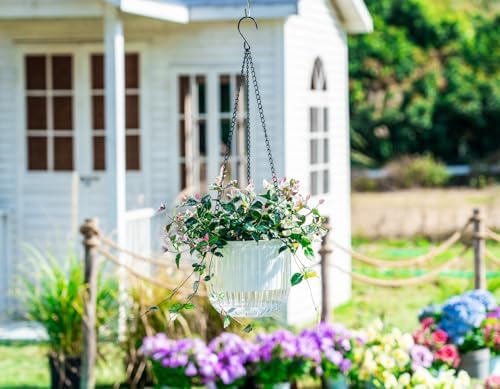 Melphoe 2 Pack Self Watering Hanging Planters Indoor Flower Pots, 6.5 Inch Outdoor Hanging Plant Pot Basket, Plant Hanger with 3Hooks Drainage Holes for Garden Home - Image 2