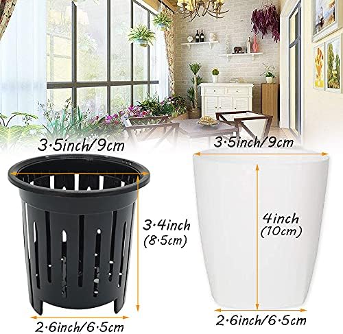 Haawooky 12 PCS Self Watering Plastic Planter,4 Inch Plastic Flower Plant Pot with Inner Pot,Self Watering Planter White Flower Pot for Herbs,Flowers,All House Plants,Succulents - Image 2