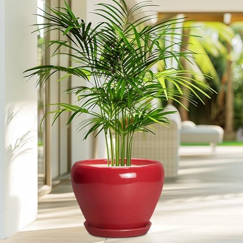 Ceramicfor Ceramic Planter for Indoor Plants, 8 Inch, Glossy Red - Image 4