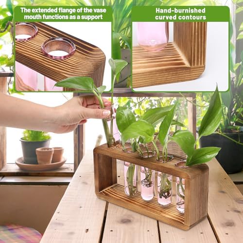 Glass Plant Propagation Station with 5 Test Tubes Colorful Planter Vase - Image 4