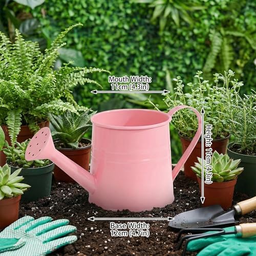Indoor Watering Can Small Watering Can, Iron Metal with Mesh Spout Vintage Style House Plant Pot Decorative & Functional for Flowers and Plants - Image 6