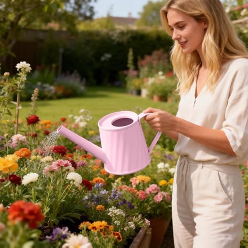8.4 oz/250 ml Plant Watering Can, Modern Stylish Decorative Indoor Watering Cans for House Plants with Long Spout,Durable Rustproof Small Water Can for Plants for Outdoor Bonsai Garden Succulents - Image 5