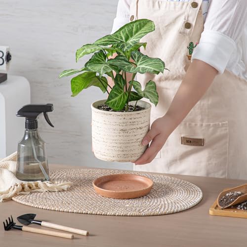 5.8 Inch Ceramic Plant Pot with Drainage Hole & Separate Saucer - Image 2