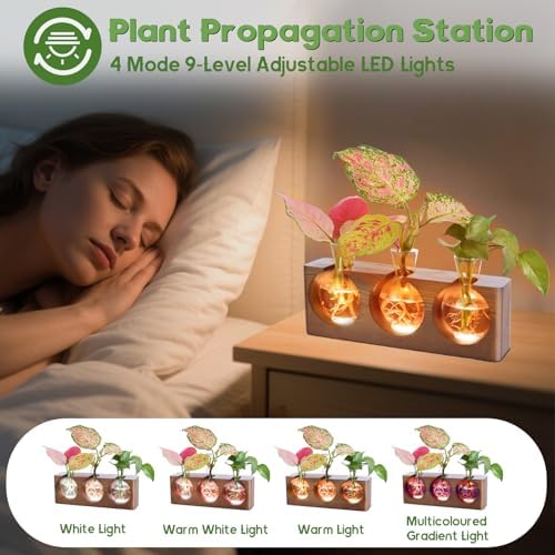 Wooden Stand Plant Propagation Station with 9-Level Adjustable LED Lights - Image 3