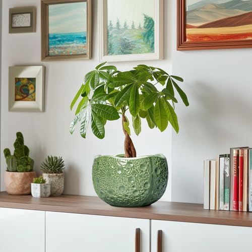 8 Inch Plant Pot - Ceramic Pots for Plants with Drainage Hole, Round Decorative Plant Pots for Indoor Outdoor, Modern Unique Flower Pot, Office Decor, Garden Gifts, Green - Image 6