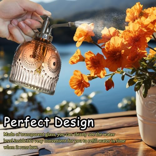 Plant Mister Glass Watering Can Bottle (7.78 oz, Gray Gradient) - Image 5