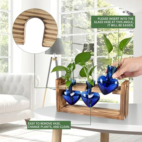 Plant Terrarium Propagation Stations Hydroponics - Image 2