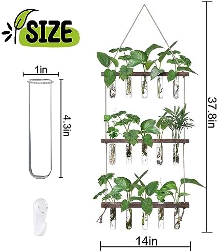 XXXFLOWER Wall Hanging Propagation Station with Wooden Stand 5 Glass Test Tubes 3 Tiered Planters Wall Terrarium for Home Office Plant Hanger Flower Vases Wall Decor Hydroponic Cuttings - Image 2