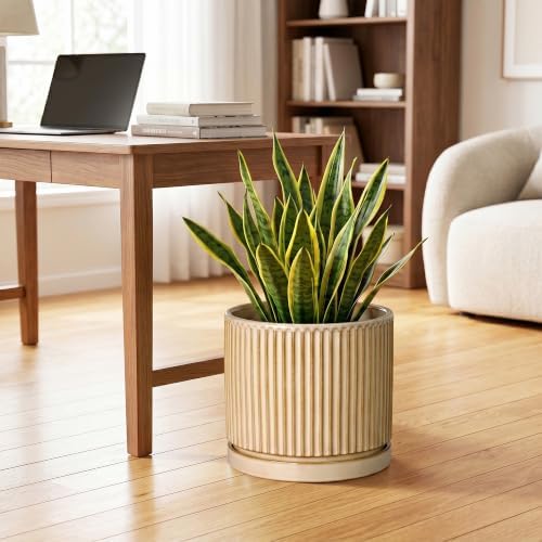 Ceramic Pots for Plants, 10 Inch Planters, Round Plant Pot, Beige - Image 3