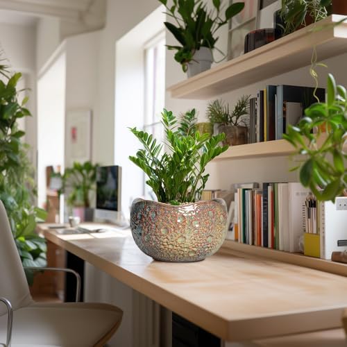 10 Inch Plant Pot - Ceramic Planter with Drainage Hole and Plug, Unique Round Planters for Indoor Outdoor Plants, Decorative Planters, Home Decor, Gardening Gifts for Women, Speckled-Brown - Image 5