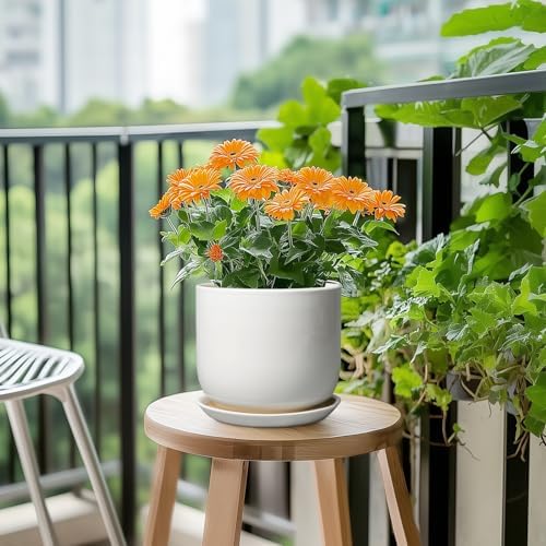 Ceramic Pot for Plants 7 Inch - Modern Round Indoor Outdoor Planter with Drainage Hole and Saucer, Home House Office Room Decor, White - Image 5