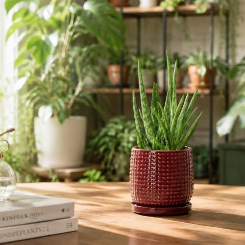 D'vine Dev Beaded Ceramic Pot with Saucer, 4 in, Burgundy Red, 27-C-Z-M - Image 2