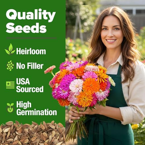 HOME GROWN Zinnia Cactus Mix 5550 Flower Seeds Zinnia elegans - Image 6