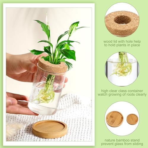 Layhit 4 Pcs Plants Propagation Stations vases Glass Planters with Wooden Lid and Bamboo Stand for Hydroponic Plants Gardening Gifts for Women Mom Home Office Tabletop Decoration(Classic Style) - Image 3