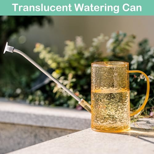Long Spout Watering Can Indoor Plants, Small Watering Cans for House Plants, Flowers, Succulents 34oz - Image 5