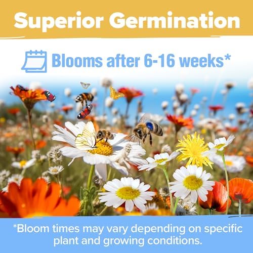 HOME GROWN 19 Wildflower Variety Mix 89,000+ Flower Seeds 3 oz - Image 6
