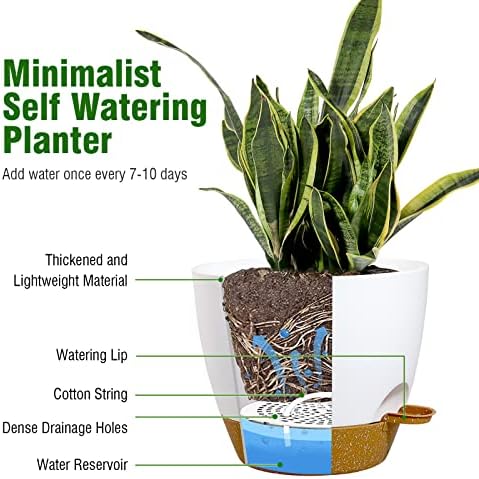 UOUZ Large Self Watering Pots, 12/10/9 Plastic Planters with High Drainage Holes and Deep Reservoir for Indoor Outdoor Garden Plants and Flowers, White with Brown - Image 4