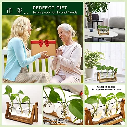 Kingbuy Desktop Glass Planter Iron and Wooden Stand Plant Terrariums for Indoor Office Desk Decor Accessories, 3 Bulb Vases, Brown - Image 2