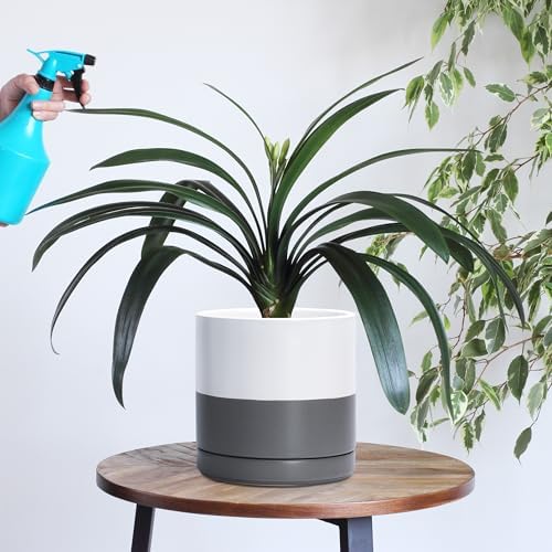 D'vine Dev 8.2 Inch Ceramic Planter Pot, White/Grey, 94-O-D-6 - Image 5