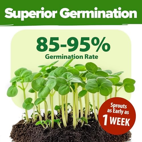 HOME GROWN 70 Variety Vegetable & Herb 30,600+ Seeds Survival Garden Kit - Image 5