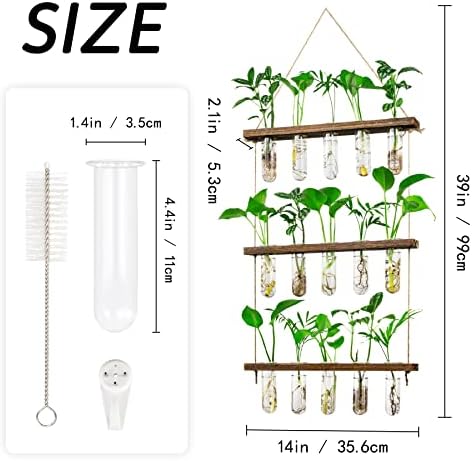 3 Tier Wall Hanging Propagation Stations with 15 Glass Test Tubes, Plant Terrarium Propagation Tubes Planter for Hydroponic Cuttings, Window Decor Gift for Plant Lovers - Image 4