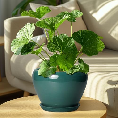 Ceramicfor 8 Inch Plant Pot - Ceramic Planter for Indoor Plants, Green - Image 7