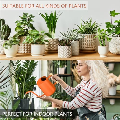 Watering Can Indoor Plants, 35oz Small Stainless Steel Metal Watering Can Modern Decorative Watering Pot with Long Spout for Indoor House Plant Bonsai Garden Flowers (Orange) - Image 6