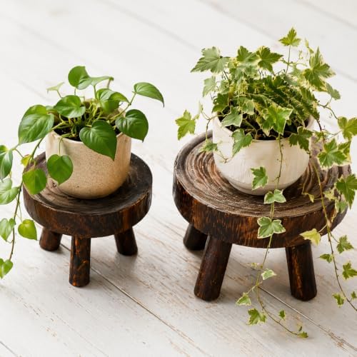 TOPZEA Set of 2 Mini Wooden Stool Display Stand, Wood Riser for Bonsai, Flower Pot, Small Potted Plant Stands Round Rustic Planter Stools Pedestal Risers for Garden, Patio, Home - Image 4