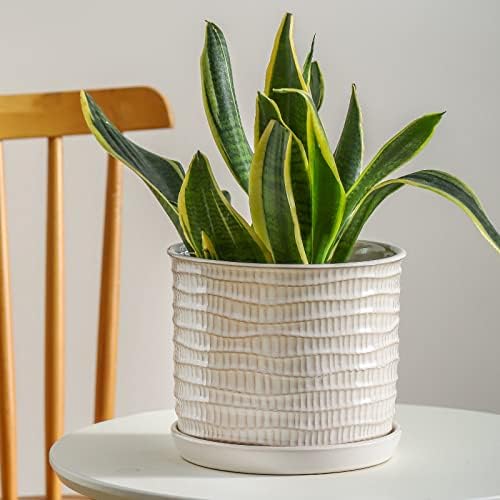 8 Inch Ceramic Planter with Drainage Hole & Bonded Saucer - Image 4