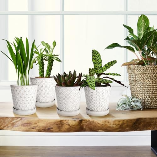 EFISPSS Ceramic Plant Pots Indoor, 5 Inch Planters with Drainage Holes and Ceramic Tray, Relief Design Flower Planter, Desktop Office Windowsill Decoration Gift Set of 4, White - Image 6