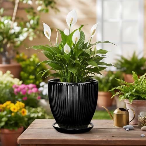 6 Inch Ceramic Planter, Indoor Plant Pots for Small Plants, Decorative Flower Pots with Drainage Hole and Saucer, Round Pot for Plants, Office Bathroom Decor, Gifts for Plant Lovers, Black - Image 4