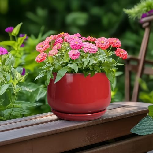 G EPGardening Ceramic Pot for Plants - 6 Inch Plant Pot with Drainage and Ceramic Tray, Modern Living Room Decor, Planter for Housewarming Gifts New Home, Red - Image 4
