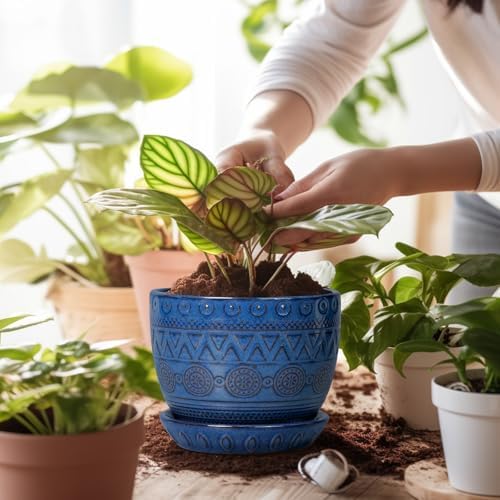 G EPGardening Pot for Plants, 5 Inch Ceramic Planter, Blue - Image 4
