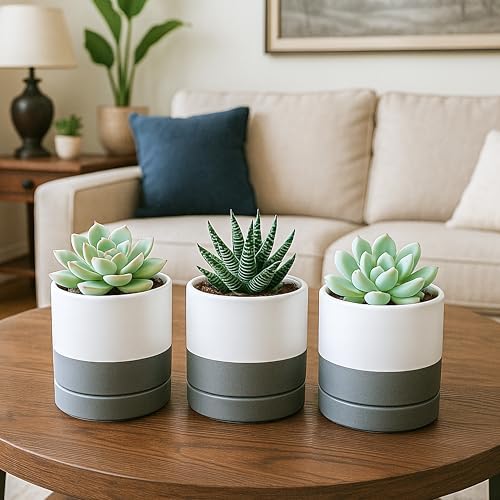 D'vine Dev 4.7 Inch Ceramic Planter Pot, White Grey, 94-O-B-6 - Image 6