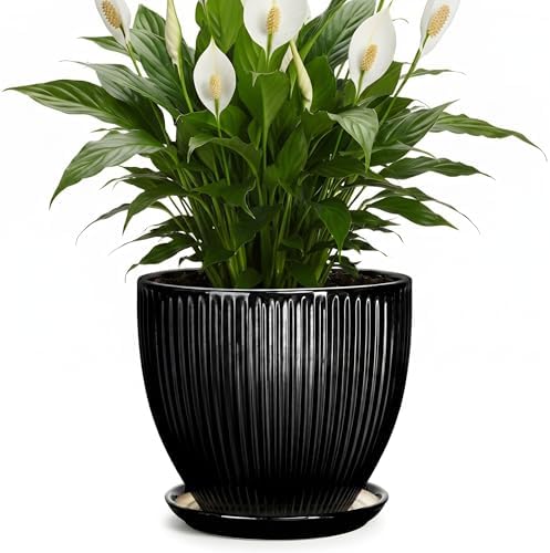 8 Inch Plant Pot, Ceramic Planter with Drainage Hole and Saucer, Modern Planters for Indoor Plants, Indoor Planter, Decorative Round Flower Pot, Apartment Decor, Plant Lover Gifts, Black by Unknown