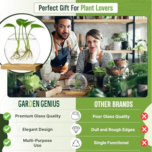 Single Glass Propagation Station with Wooden Base – Hydroponic Plant Terrarium for Home & Office | Ideal Christmas, New Year & Birthday Gift for Plant Lovers, Moms | Desktop Windowsill Planter Vase - Image 7