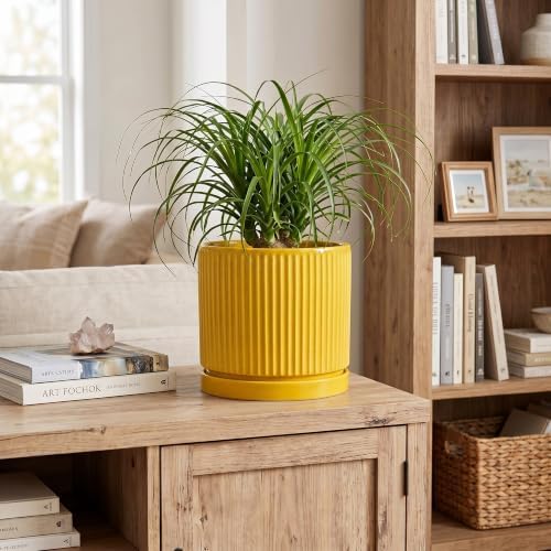 Ceramic Planter 8 Inch, Round Flower Pots with Saucer, Yellow - Image 3