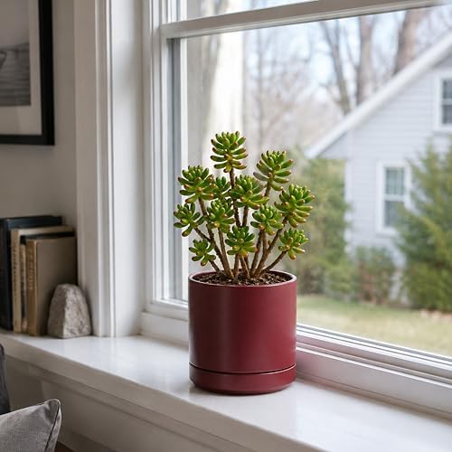 D'vine Dev 6.5 Inch Ceramic Planter Pot, Cordovan, 94-O-C-4 - Image 6