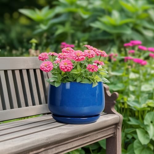 G EPGardening Round Ceramic Plant Pots, 7 Inch Modern Planter, Blue - Image 4