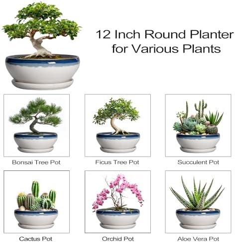 SQOWL Bonsai Tree Pots - 12 Inch Ceramic Succulent Planters, Large Bonsai Pot with Drainage Hole and Tray, Shallow Planter Indoor, Bowl Round Planter, Home Decor, Plant Lover Gift, Blue Off-White - Image 7