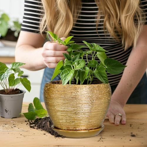 Ceramicfor Indoor Plant Pot 6 Inch - Ceramic Pot for Plants Outdoor Planter with Drainage Hole and Saucer Round Decorative Planter Modern Flower Pot for Home Decor Gold - Image 5