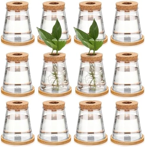 Baderke 12 Packs Propagation Vases for Plants Plastic Plant Propagation with Hole Lid and Bamboo Stand Growing in Water Hydroponic Home Office Desktop Vase Decoration (Cute Style) by Baderke