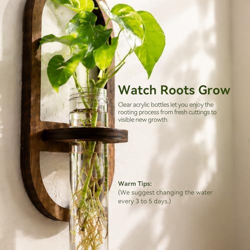 Artilady Plant Propagation Station Wall Hanging, Planter Terrariums Tube - Image 5