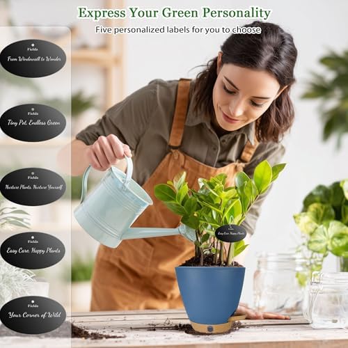 6 Inch Small Self Watering Pots for Indoor Plants, 5-Pack - Image 6