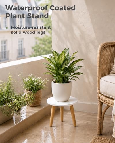 Bamworld Plant Stand Indoor Small Plant Table for Large Plant - Image 3