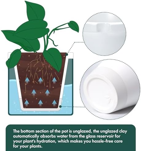 D'vine Dev Self Watering Terracotta Pot, Teal Glass Cup, 8 in, 37-X-C-5 - Image 6